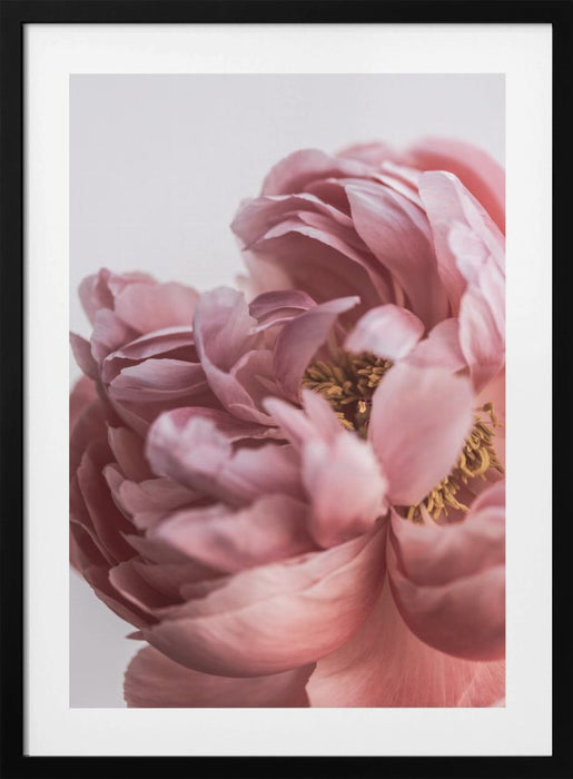 Peony Framed Art Modern Wall Decor