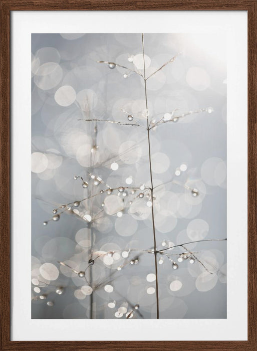 Natural Sparkle Framed Art Wall Decor