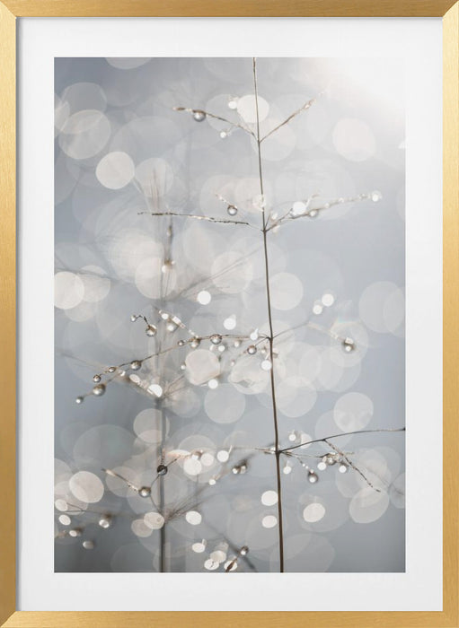 Natural Sparkle Framed Art Wall Decor