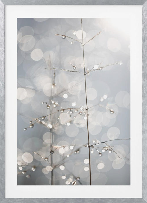 Natural Sparkle Framed Art Wall Decor