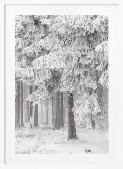 Winter Forest 2 Framed Art Modern Wall Decor