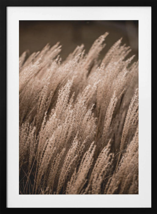 Grass 16 Framed Art Modern Wall Decor