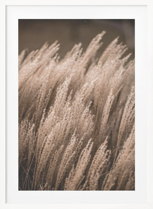 Grass 16 Framed Art Modern Wall Decor