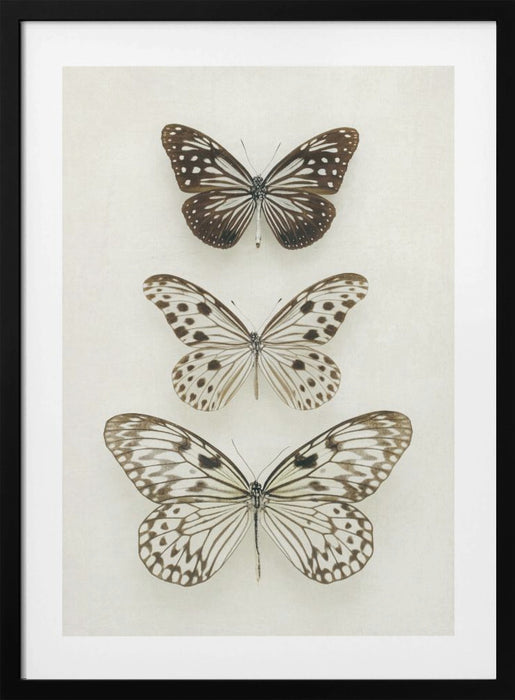 Three Neutral Butterflies Framed Art Modern Wall Decor