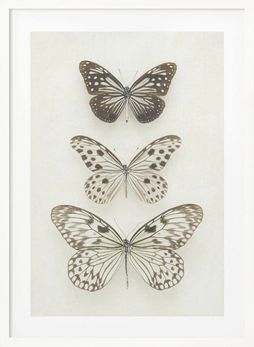 Three Neutral Butterflies Framed Art Modern Wall Decor