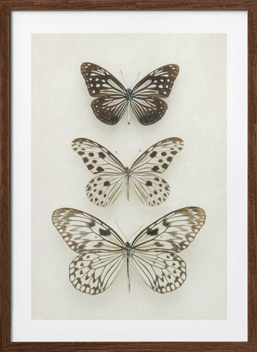 Three Neutral Butterflies Framed Art Modern Wall Decor