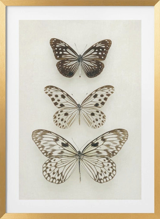 Three Neutral Butterflies Framed Art Modern Wall Decor