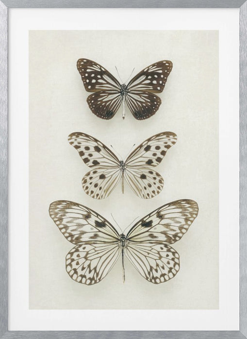 Three Neutral Butterflies Framed Art Modern Wall Decor