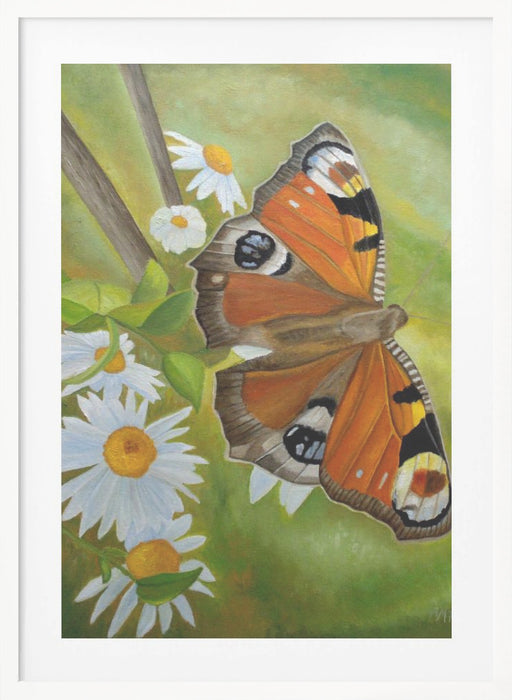 Peacock Butterfly Framed Art Wall Decor