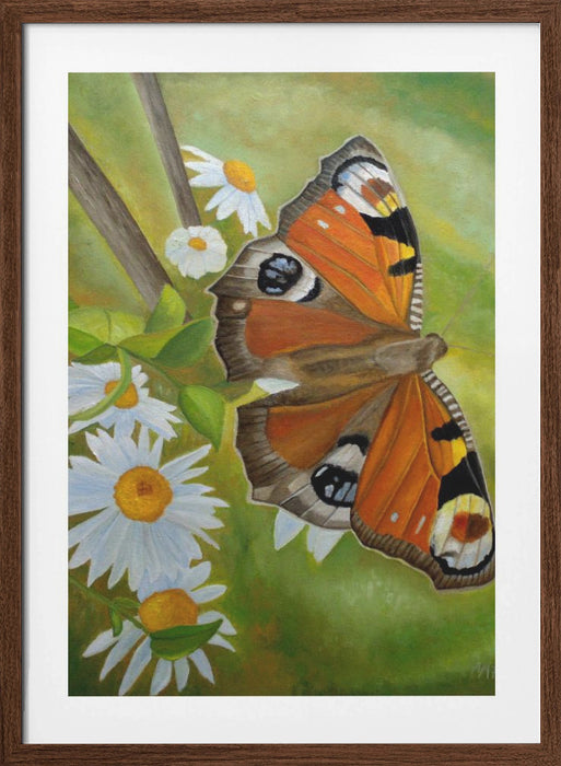 Peacock Butterfly Framed Art Wall Decor