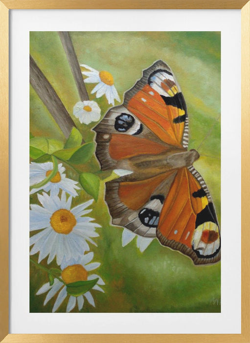 Peacock Butterfly Framed Art Wall Decor