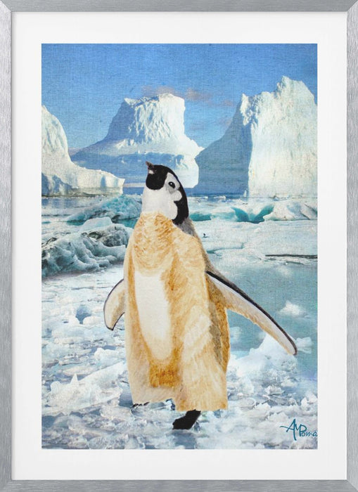 Penguin Chick In the Arctic Framed Art Modern Wall Decor