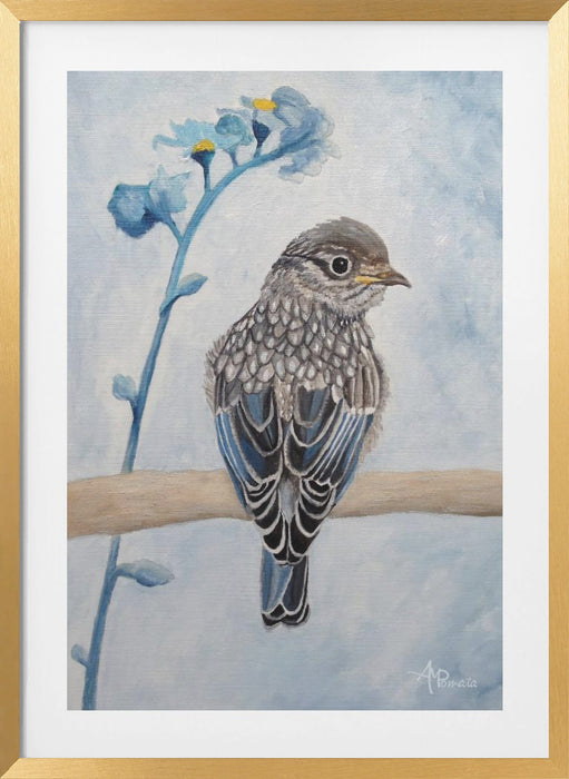 Perked and Perched Framed Art Modern Wall Decor