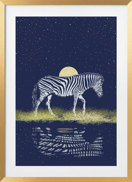 Zebra Waterhole Moonrise Framed Art Wall Decor