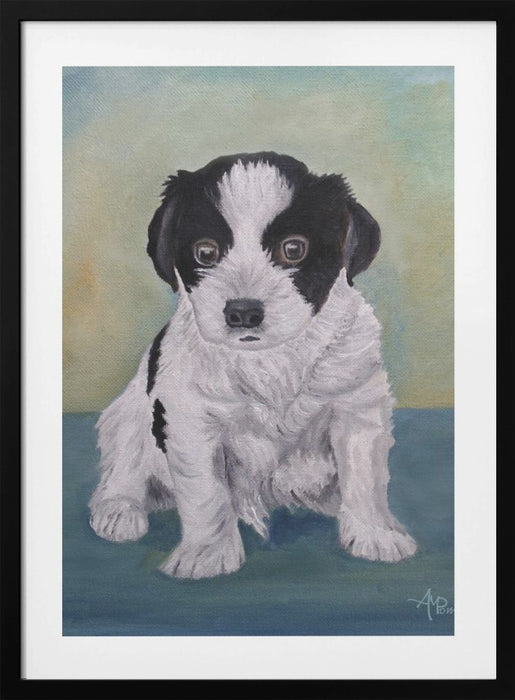 Border Collie Puppy Framed Art Modern Wall Decor