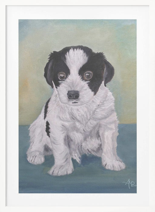 Border Collie Puppy Framed Art Modern Wall Decor