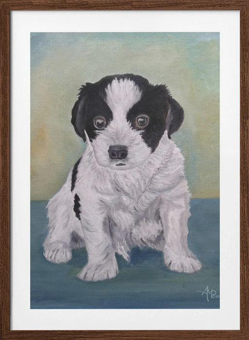 Border Collie Puppy Framed Art Modern Wall Decor