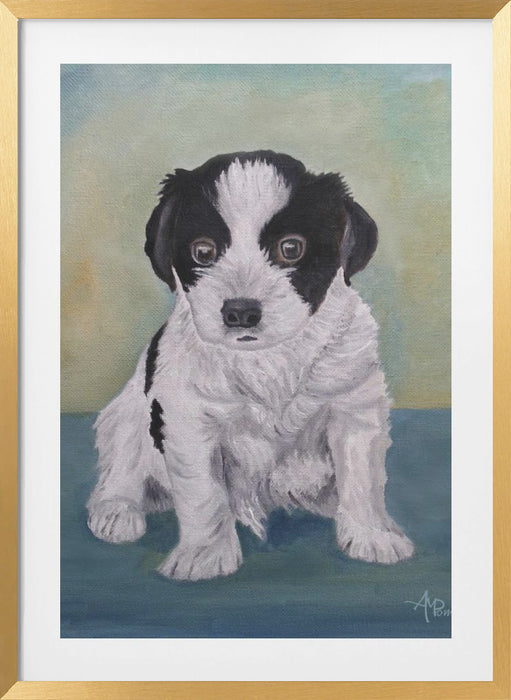 Border Collie Puppy Framed Art Modern Wall Decor