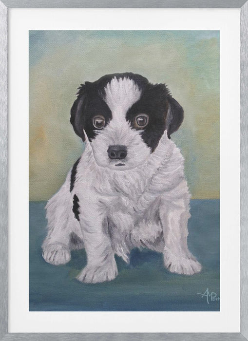 Border Collie Puppy Framed Art Modern Wall Decor