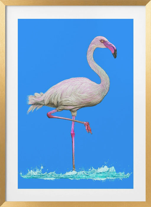 Flamingo in water blue sky Framed Art Wall Decor