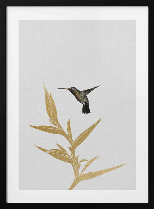 Hummingbird & Flower Ii Framed Art Wall Decor