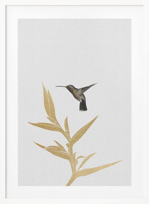 Hummingbird & Flower Ii Framed Art Wall Decor