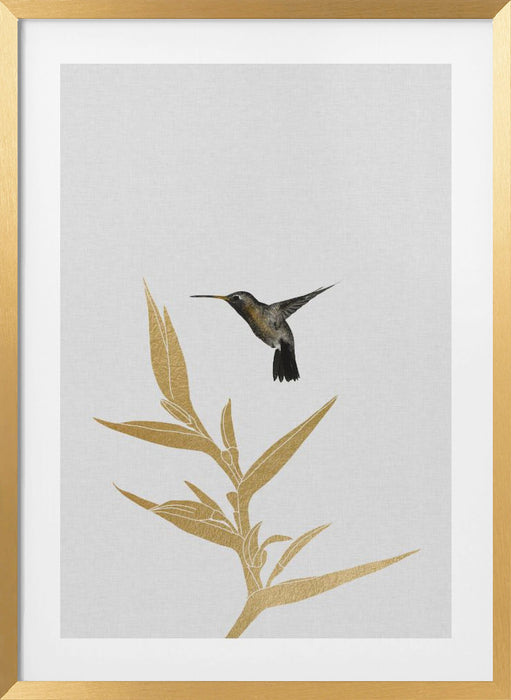 Hummingbird & Flower Ii Framed Art Wall Decor