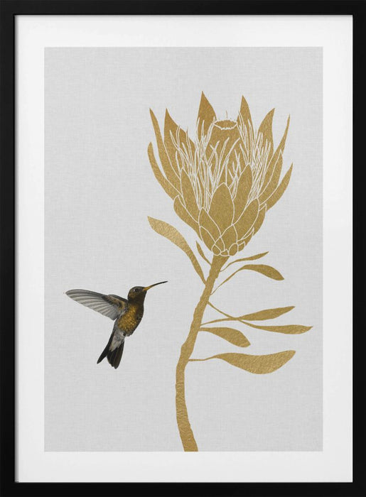 Hummingbird & Flower I Framed Art Wall Decor