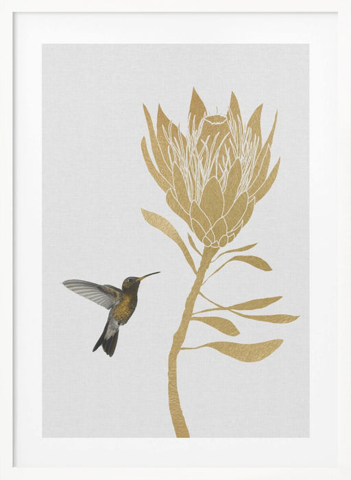 Hummingbird & Flower I Framed Art Wall Decor