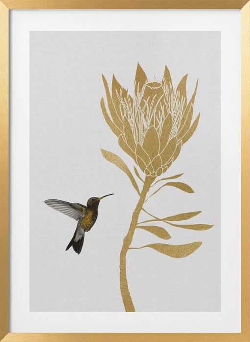 Hummingbird & Flower I Framed Art Wall Decor