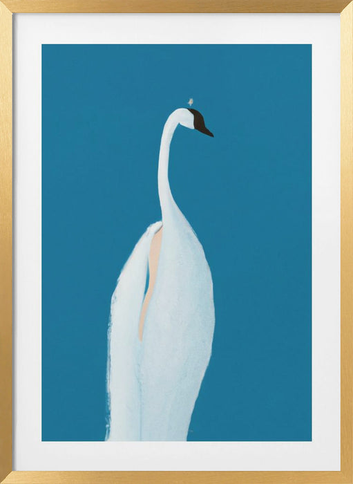 Swan Maybe Framed Art Wall Decor