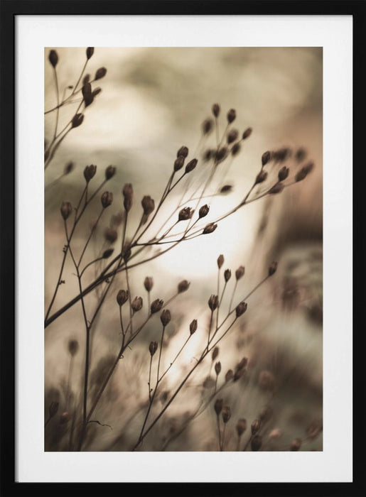 Autumn Lights Framed Art Wall Decor