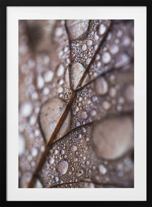 Autumn Rain Framed Art Modern Wall Decor