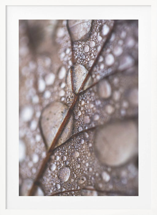 Autumn Rain Framed Art Modern Wall Decor