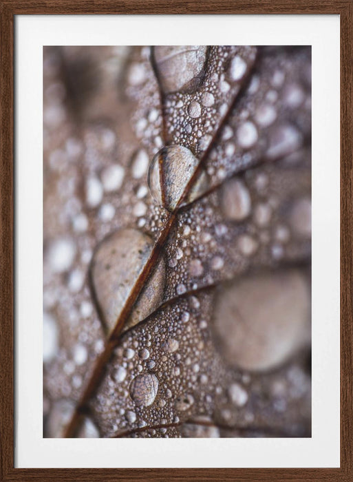 Autumn Rain Framed Art Modern Wall Decor