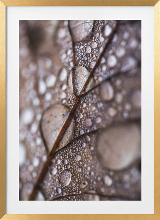 Autumn Rain Framed Art Modern Wall Decor