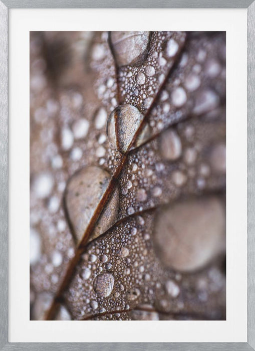 Autumn Rain Framed Art Modern Wall Decor