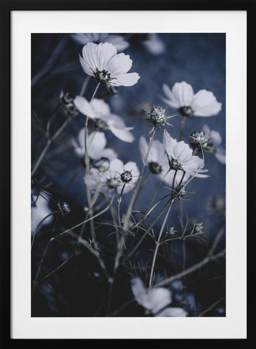 Wild Flowers 10 Framed Art Wall Decor