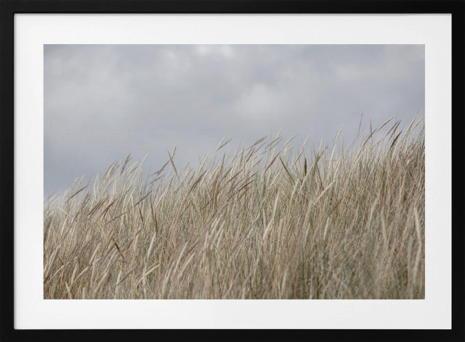 Dunes and Clouds Landscape Framed Art Scenic Wall Dcor