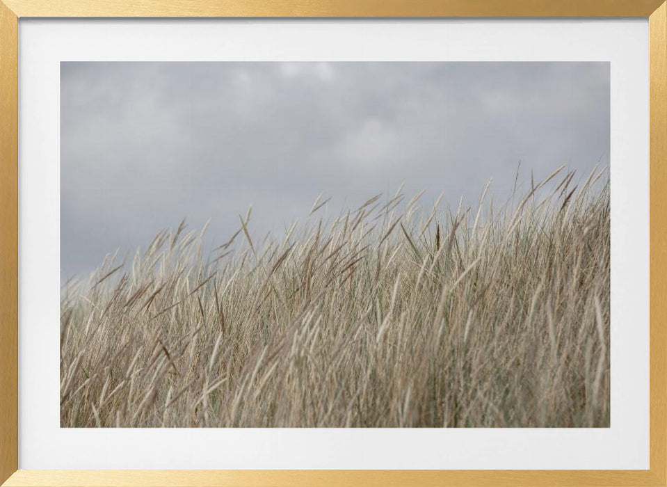 Dunes and Clouds Landscape Framed Art Scenic Wall Dcor