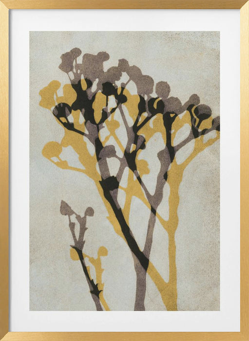 Echoes of Gypsophila Framed Art Modern Wall Decor