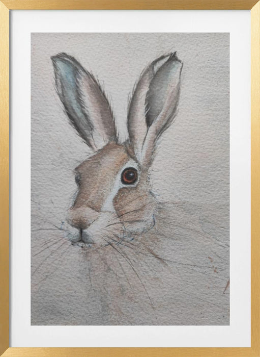 Hare Framed Art Wall Decor