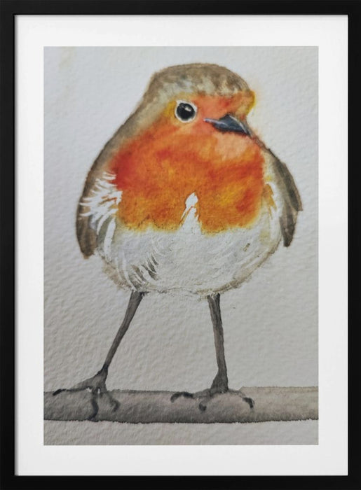 Robin Framed Art Wall Decor