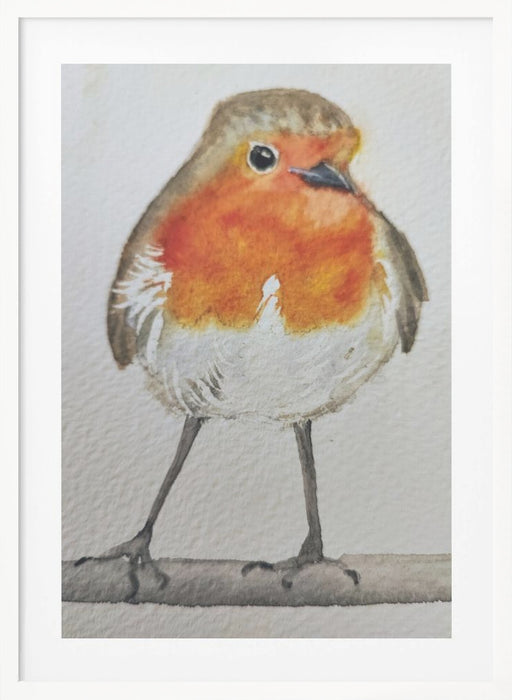 Robin Framed Art Wall Decor