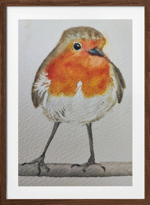 Robin Framed Art Wall Decor