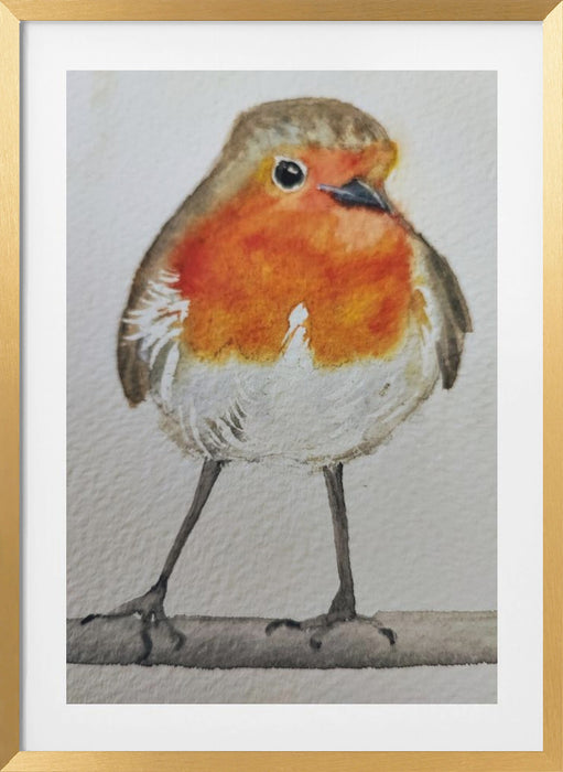 Robin Framed Art Wall Decor