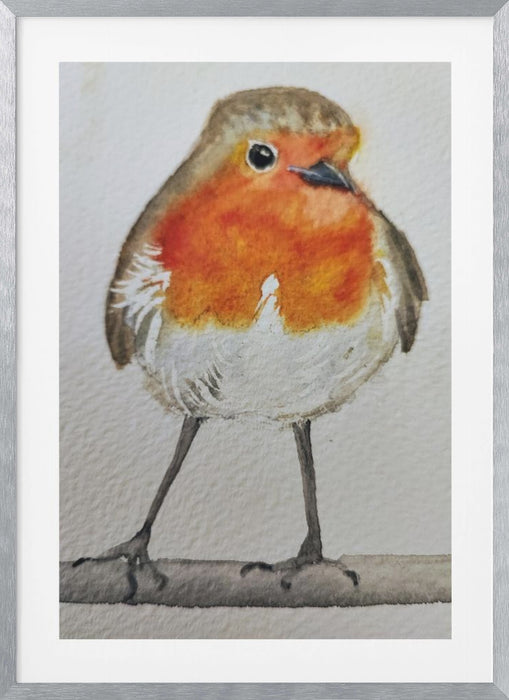 Robin Framed Art Wall Decor