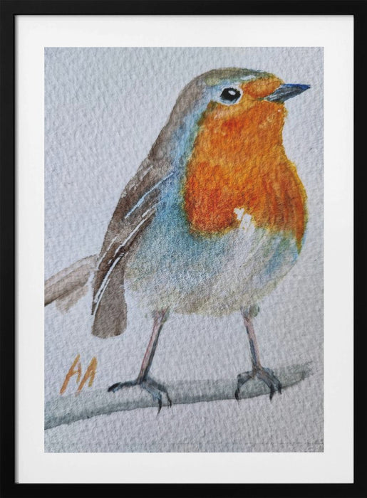 Robin Framed Art Wall Decor