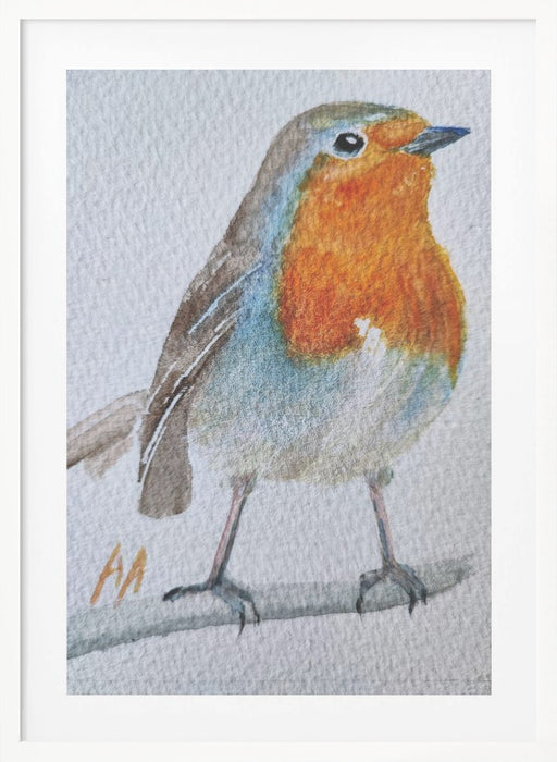 Robin Framed Art Wall Decor