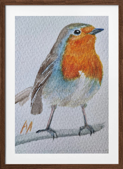 Robin Framed Art Wall Decor